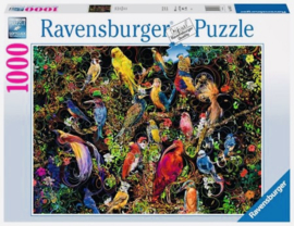 Ravensburger - Schitterende Vogels - 1000 stukjes  OP=OP