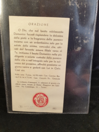 Relikwie Dominici Savio, 10x6cm, 3de graad (12)