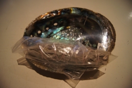 Abaloon smudgeschelp 17.5 cm met witte salie (3)