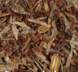 Dennentoppen gesneden (Pini turriones conc.)