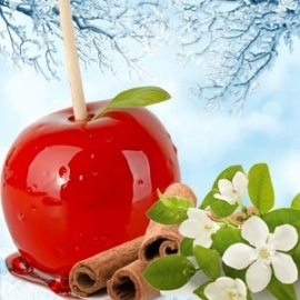 Wintery Candy Apple