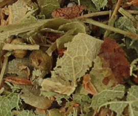 Lindebloesem gesneden va 50gr Tilia tomentosa