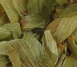 Hopbel gesneden va 50gr Humulus lupulus flores conc