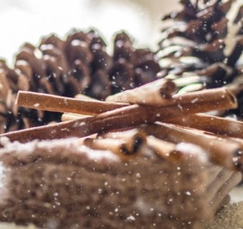 Cinnamon and Pinecones