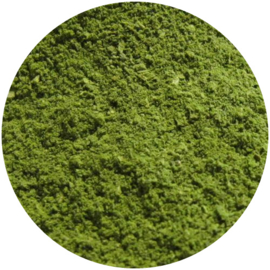 BIO Moringa Oleifera poeder va 25gr