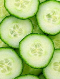 Komkommerextract 100m lBevat: Propyleenglycol, Aqua, Alcohol denat.,Cucumis Sativus