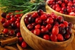Jewelled Cranberry
