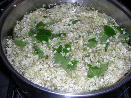 Vlierbloesem va 50gr Sambuci flos