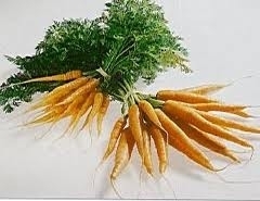 Wortelolie /Caroteenolie INCI: Daucus Carota, Glycine Soja,beta-carotene 100ml ( maceraat)