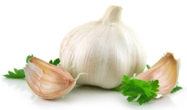 Knoflook INCI: Allium Sativum