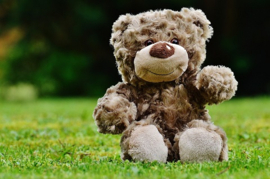 DIKKE KNUFFEL THEE