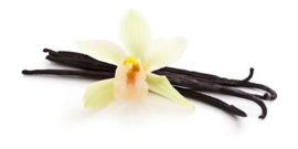 Vanille olie 10mlINCI Vanilla plantifolia