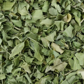 Moringa Oleifera 50gr