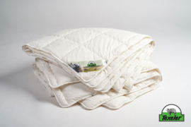 Texeler PureNature Percale duvet 4 years