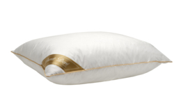 Ducky Dons Duvet Dore 65 % Goosedown point pillow