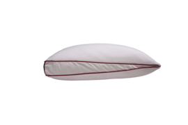 Silvana Start Up Pillow