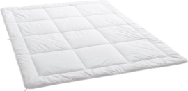 Dauny Etoile DeLuxe Superlight zijde dekbed