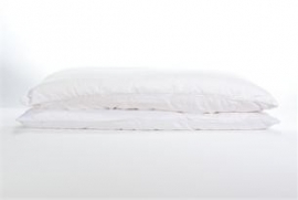 Emperior Silk, Cantate silk and polyester pillow - Cotton cover