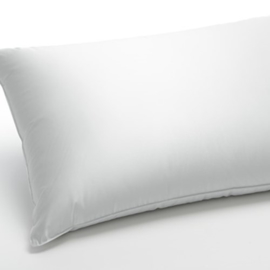 Dauny Eider Soft Plus Pillow-champagne silk