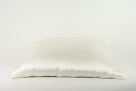 Emperior Silk Pillows