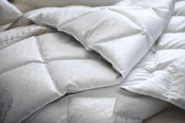 Dauny Eiderdown Comforter from ICeland - Eider Cosy- silk-