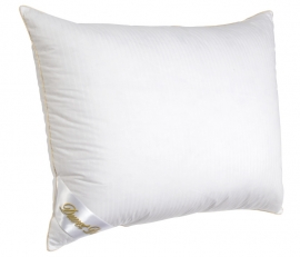 Ducky Dons Duvet Dore 60 % ganzendons puntkussen