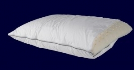 AMproducts Eminent natural latex/down pillow