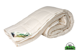 Texeler Wonderwool 4 years
