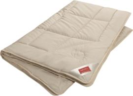 Hefel all year comforter camel dream