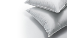 Dauny Soft Plus Deep pillow.