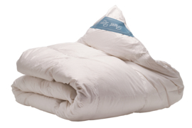 Duvet Dore Platinum 100% ganzendons dekbed 4 seizoenen