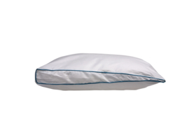 Silvana Special Start kussen