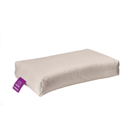 Silvana Flex Purple pillow