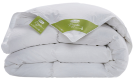 Silvana Royale Colortemp dekbed Extra Warm - Groen