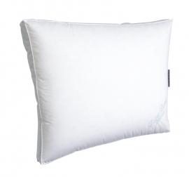 Duvet Dore Platinum  Box pillow -100% goosedown