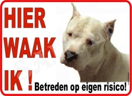 ARGENTIJNSE DOG 209