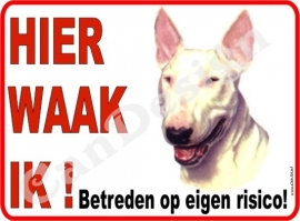 BULLTERRIËR (WIT) 119