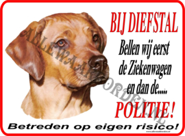 Rhodesian Ridgeback 177 ....BIJ DIEFSTAL