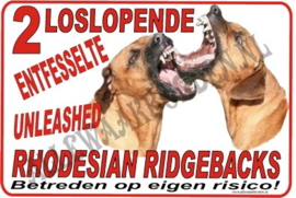 RHODESIAN RIDGEBACK 177 C