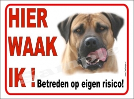 BOERBOEL 117