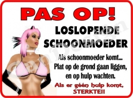 PAS OP LOSLOPENDE... SCHOONMOEDER 231