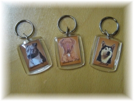 Honden....Auto`s.....Naam Sleutelhangers