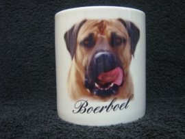 BOERBOEL