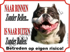 Pitbull Terriër 171 AK (Bruin Wit/Ball)