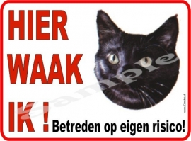 ZWARTE KAT 203