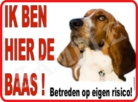 BASSET 106