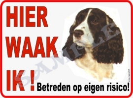 Cocker Spaniel 125