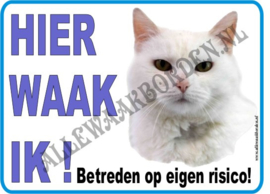 WITTE KAT (1) 255 (BLAUWE TEKST)