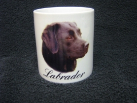 ZWARTE LABRADOR