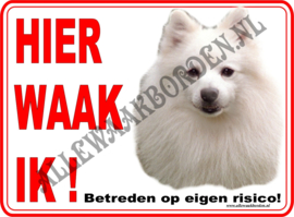 Keeshond 153 (wit)